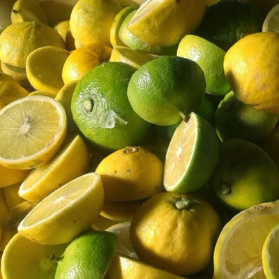 Calabrian Bergamot 